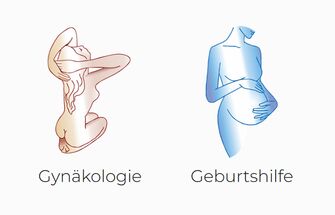 Ilustrationen Gynäkologie und Geburtshilfe